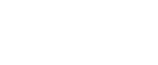 Larin Peyzaj & İnşaat Logo